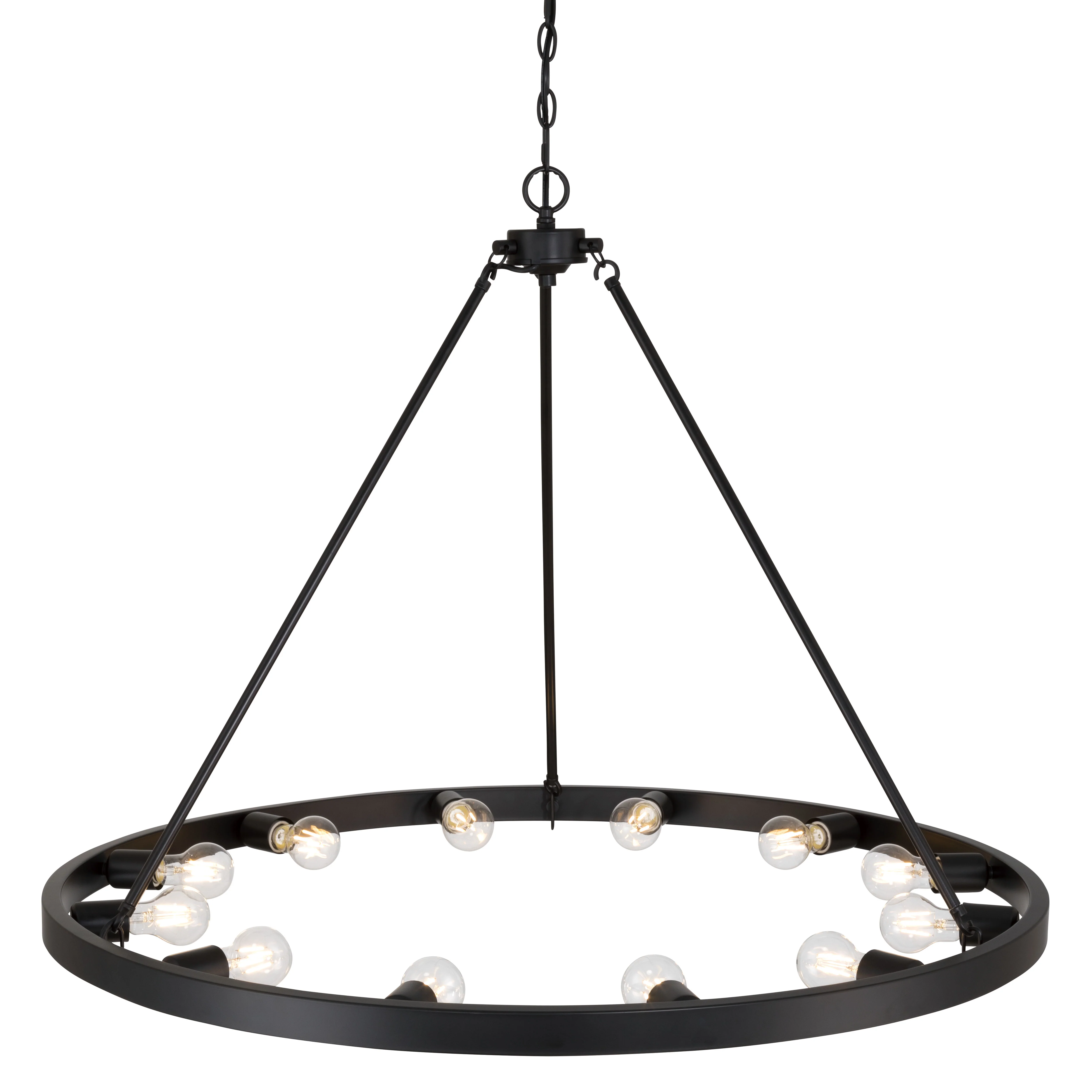 Castile 12-light Chandelier in Matte Black - Image 4