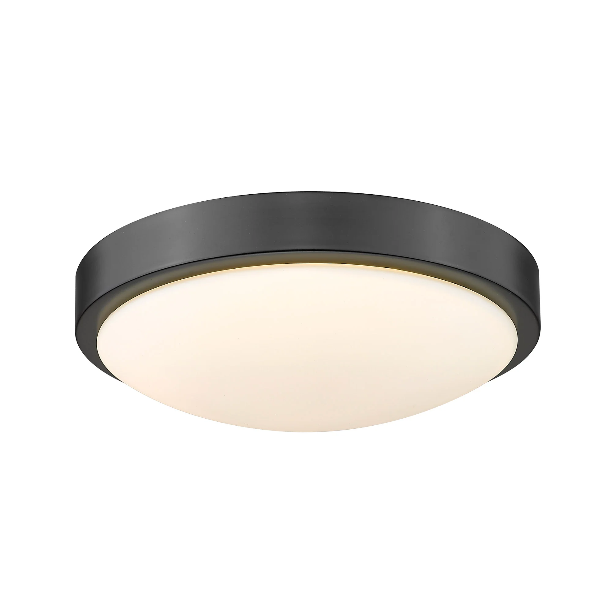 Gabi Integrated LED 10in Flush Mount in Matte Black