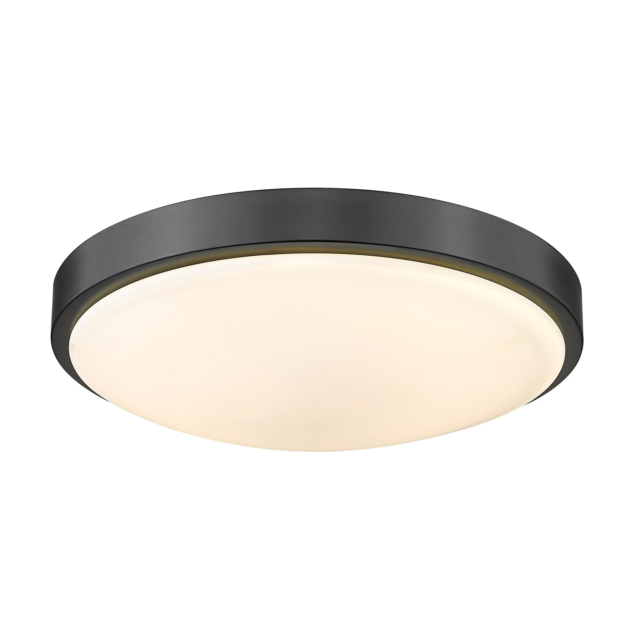 Gabi Integrated LED 12in Flush Mount in Matte Black