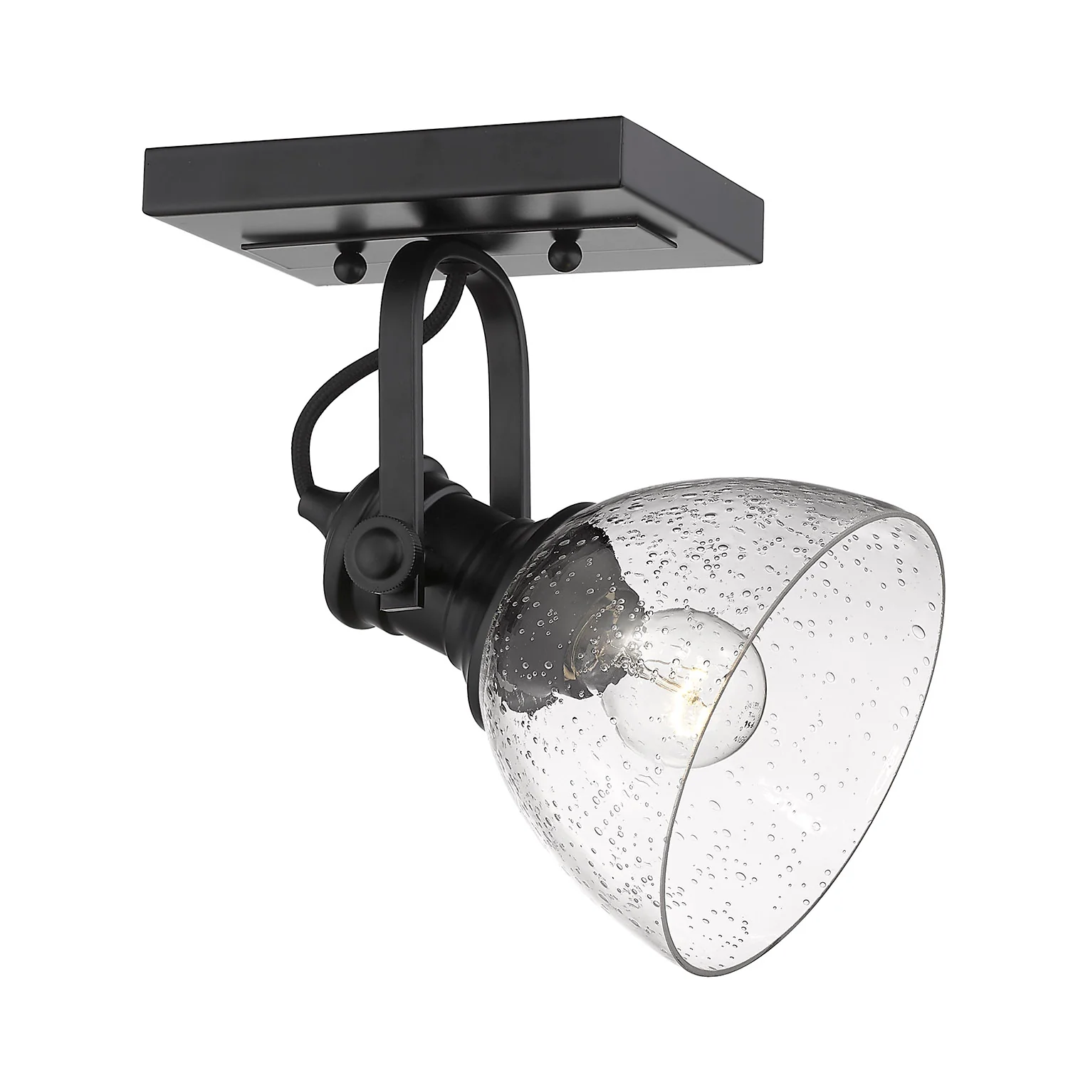 Hines 1-light Adjustable Semi-Flush Mount in Matte Black and Seeded Glass