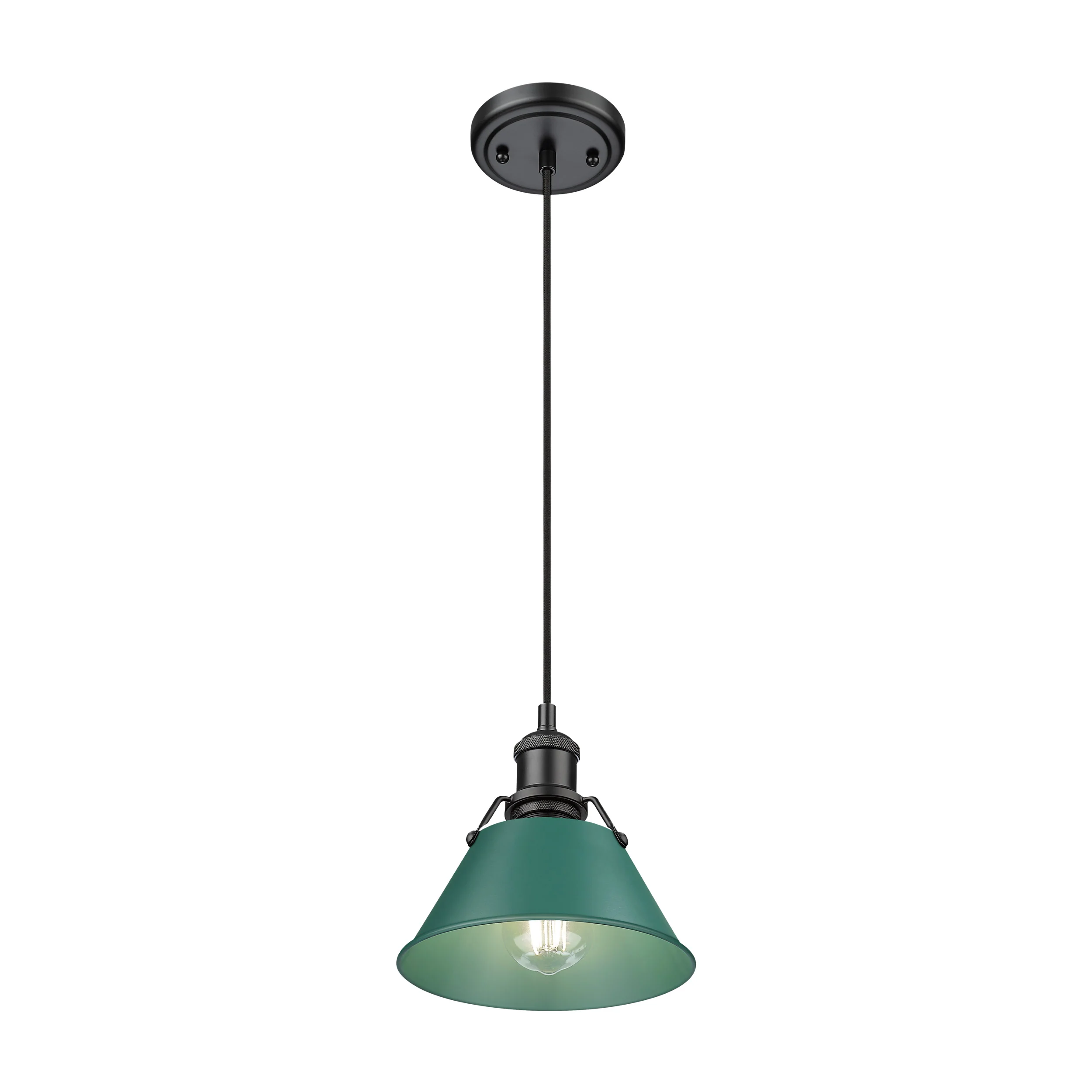 Orwell 1-light 8in Pendant in Matte Black and Pine Green shade - Image 3