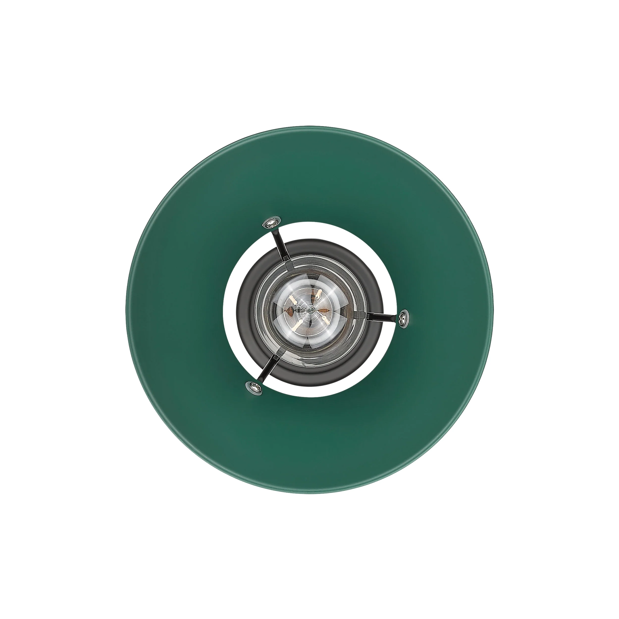 Orwell 1-light 8in Pendant in Matte Black and Pine Green shade - Image 4