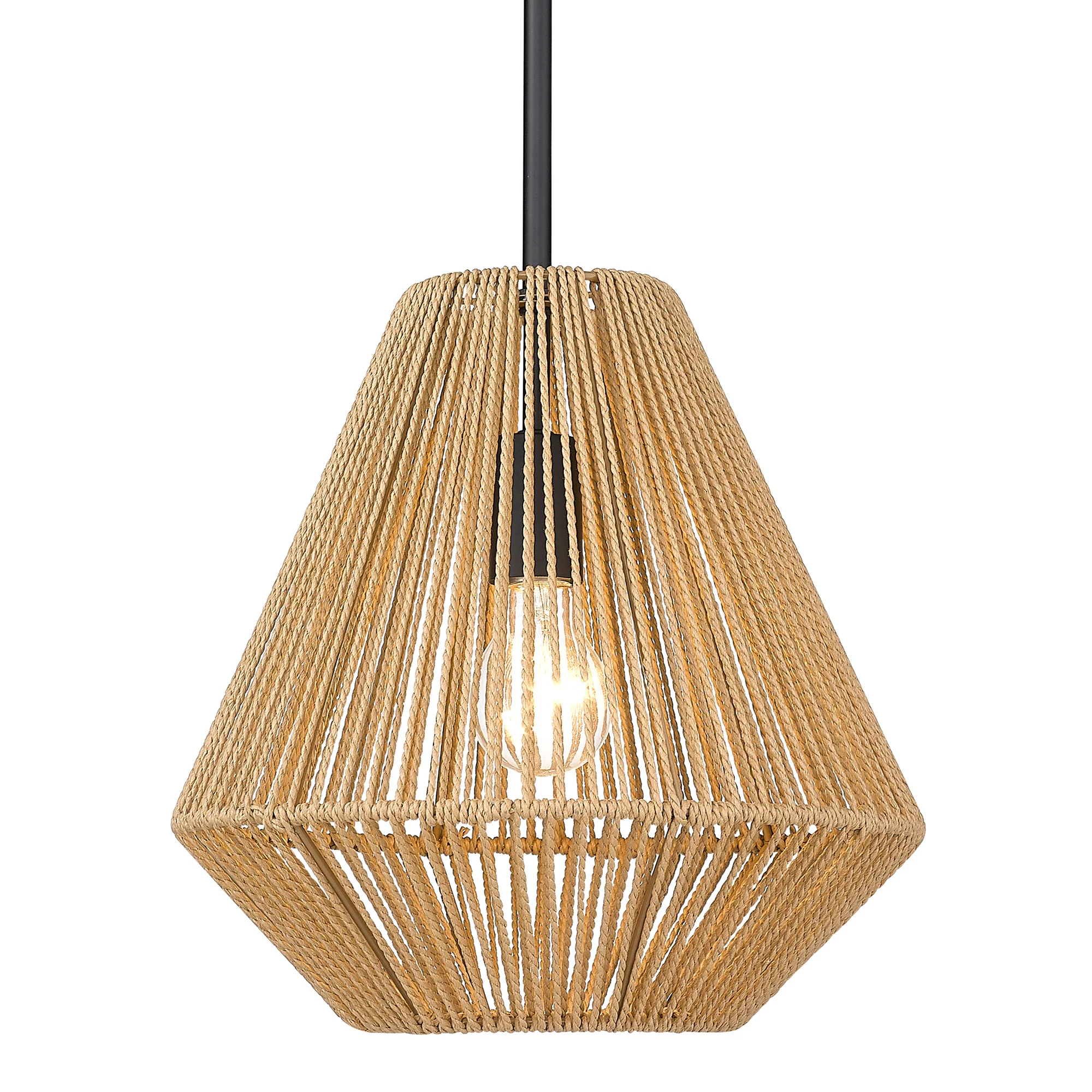 Valentina 1-light Pendant in Matte Black