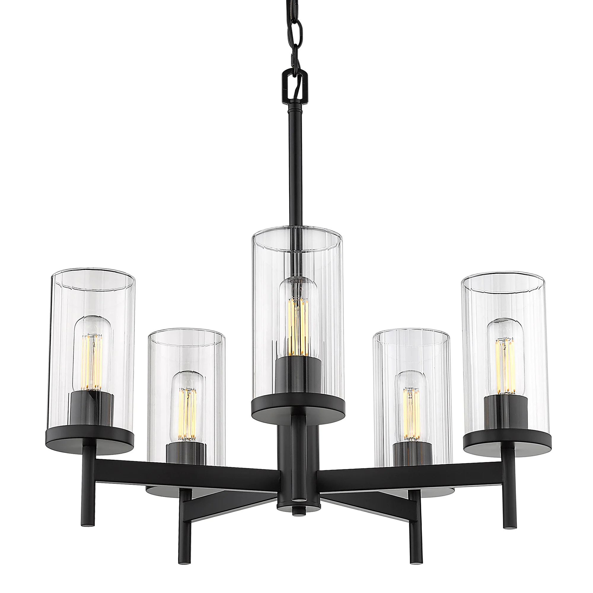 Winslett 5-light Chandelier in Matte Black